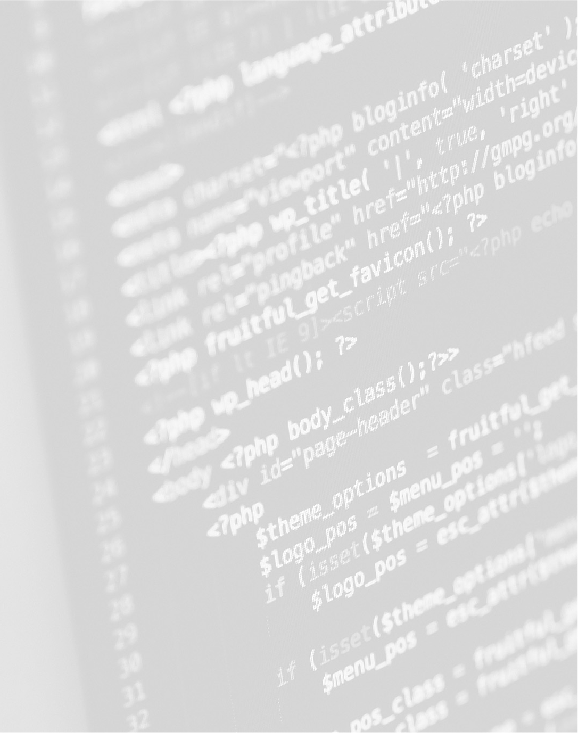 Custom software