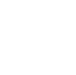 qr icon